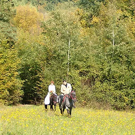 Mathias Lovasudvar Kemence