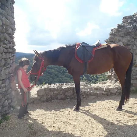 Mathias Lovasudvar 3*