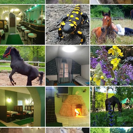 Mathias Lovasudvar Guest house