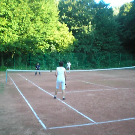 Mathias Lovasudvar Pensiune 3*