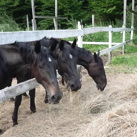 Mathias Lovasudvar Kemence