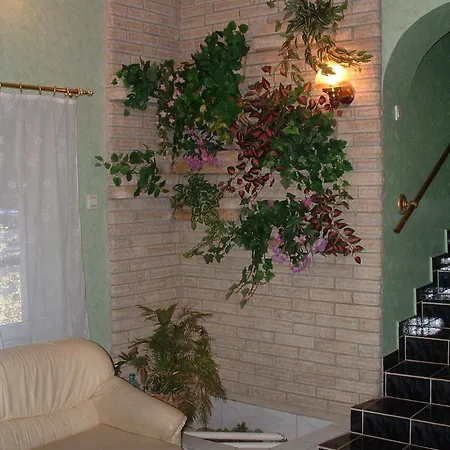 Mathias Lovasudvar 게스트하우스