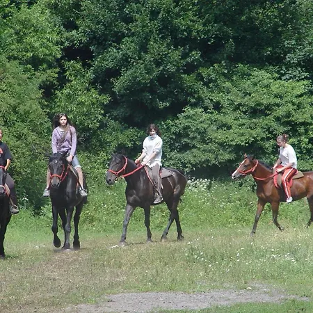 게스트하우스 Mathias Lovasudvar