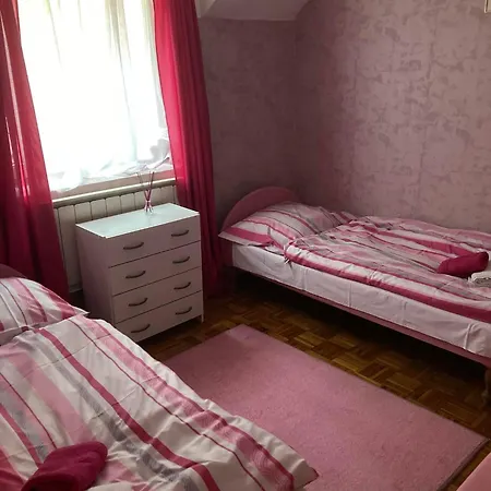 Pensiune Mathias Lovasudvar 3*