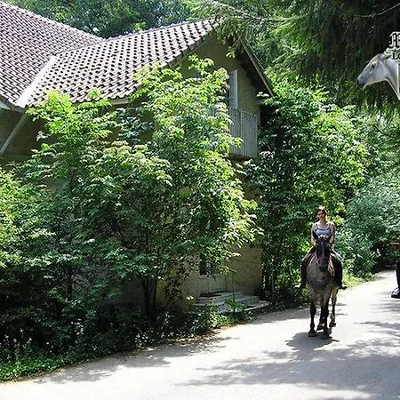 게스트하우스 Mathias Lovasudvar