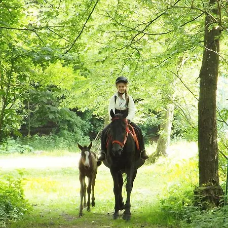 Гостевой дом Mathias Lovasudvar 3*