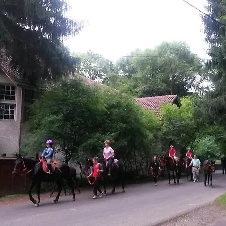 게스트하우스 Mathias Lovasudvar Kemence