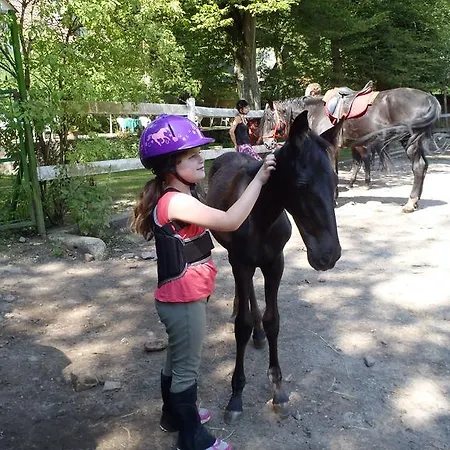 게스트하우스 Mathias Lovasudvar 3*