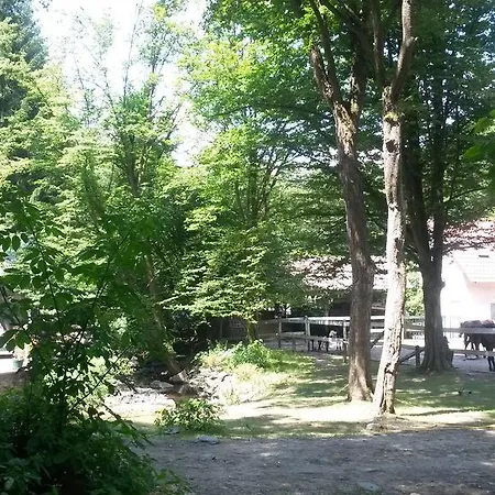 Mathias Lovasudvar 3*