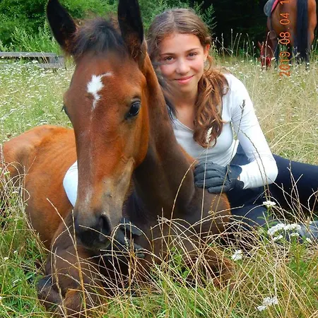 Mathias Lovasudvar 3*