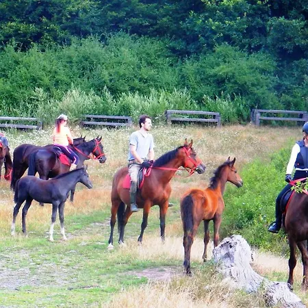 Mathias Lovasudvar Kemence