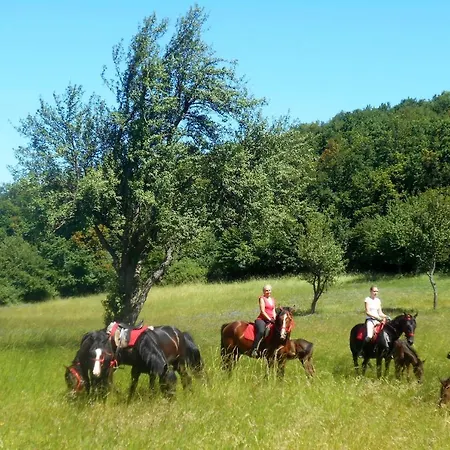 Mathias Lovasudvar 게스트하우스 3*