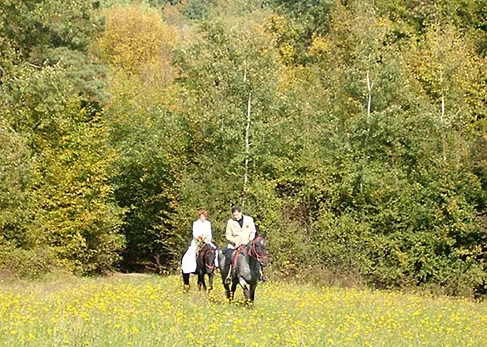 Mathias Lovasudvar Kemence