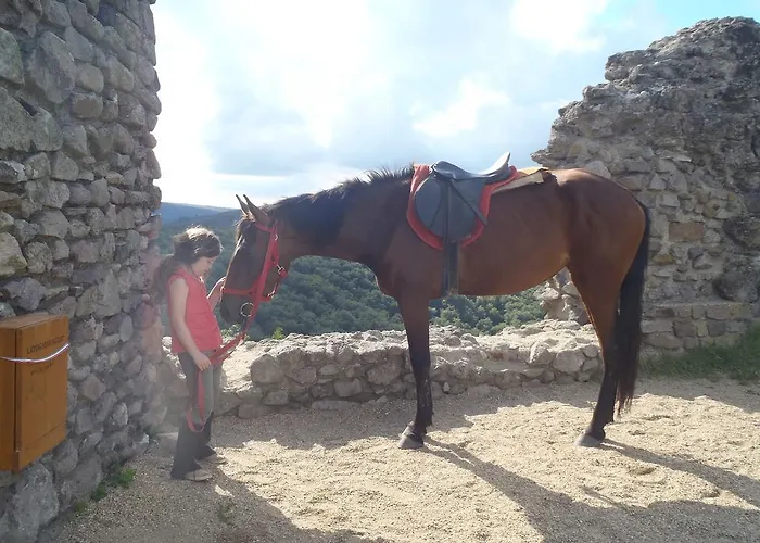 Mathias Lovasudvar 3*