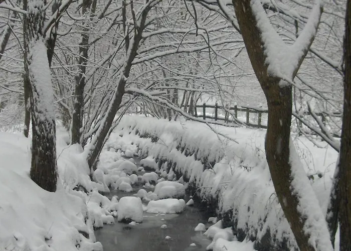 Mathias Lovasudvar 招待所