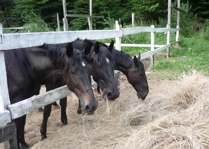 Mathias Lovasudvar Kemence