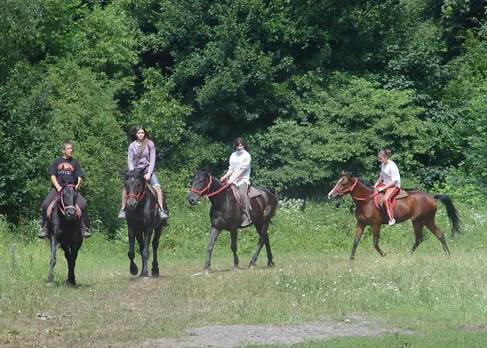 招待所 Mathias Lovasudvar