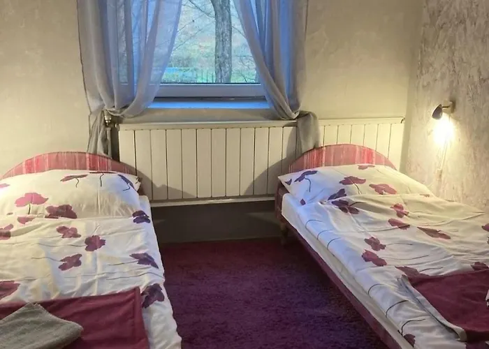 Mathias Lovasudvar 招待所 Kemence