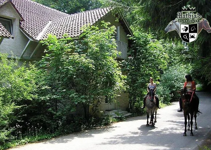 招待所 Mathias Lovasudvar