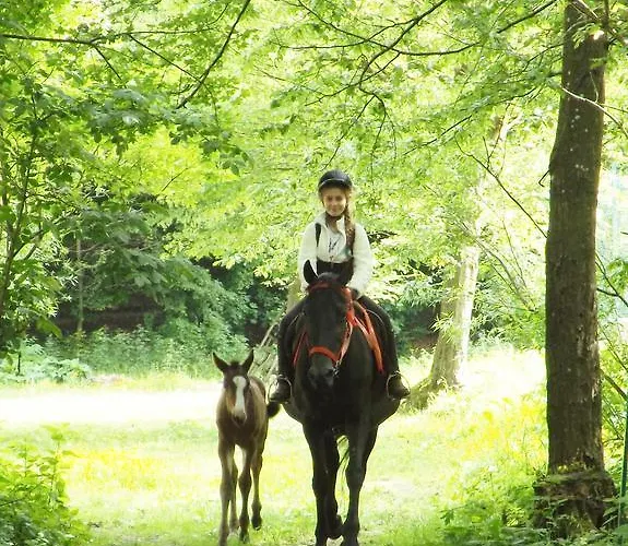 招待所 Mathias Lovasudvar 3*