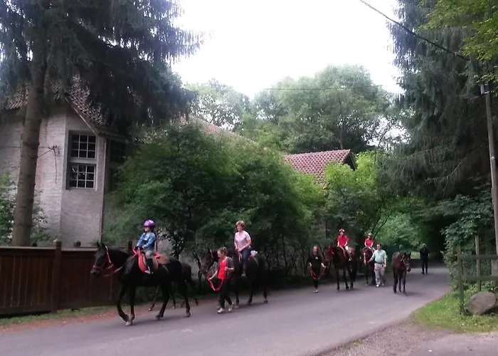 招待所 Mathias Lovasudvar Kemence