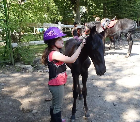 招待所 Mathias Lovasudvar 3*