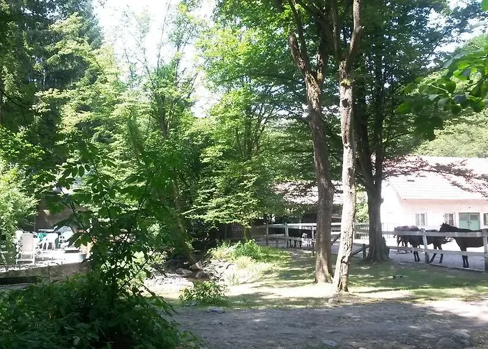 Mathias Lovasudvar 3*