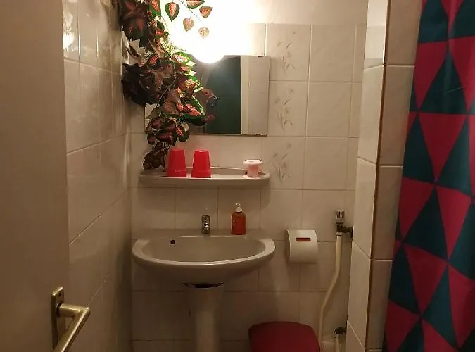 招待所 Mathias Lovasudvar