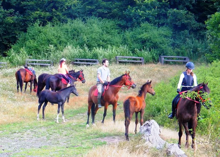 Mathias Lovasudvar Kemence