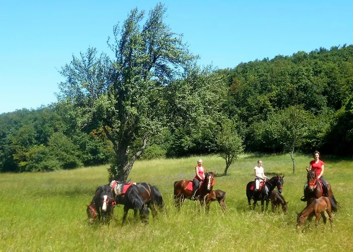 Mathias Lovasudvar 招待所 3*